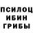Псилоцибиновые грибы Psilocybe Janina Polunina