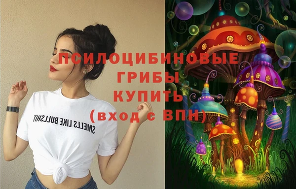 амф Алзамай