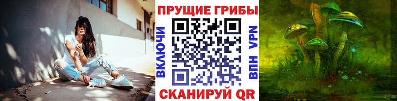 Галлюциногенные грибы GOLDEN TEACHER  Кочубеевское 